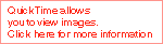 Quick Time allows you to view images. Click here for more information