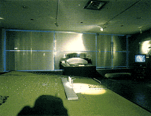 exhibition scene